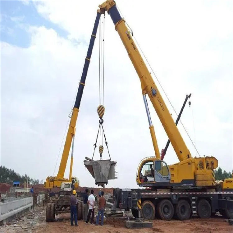 瑞安小型吊机出租电话|厂房设备吊装方案|24小时服务覆盖